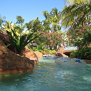 Picture 116